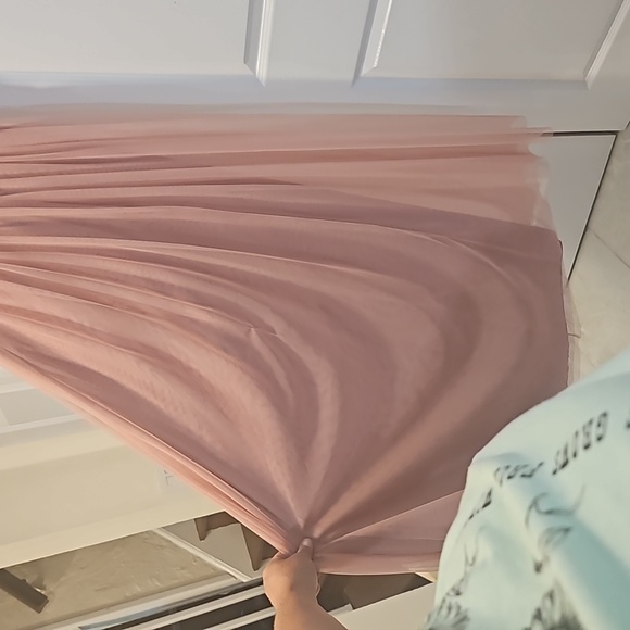 Celebrate Studios Pale Pink Dress (0) - Picture 11 of 11